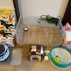 ハリネズミ　スターター　セット　ケージ ハリネズミ スターター セット ケージ