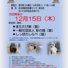 保護猫♡認定団体譲渡会ｉｎ埼玉県動物指導センター(南支所)