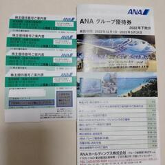 ANA株主優待　チケット　9300