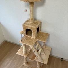 キャットタワー　高さ155cm