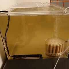 アクリル120 CM 水槽、フランジ部分7 CM アクリル120 CM 水槽、フランジ部分7 CM