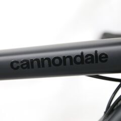 CANNONDALE　「キャノンデール」 CAAD13 ULTEGRA RIM 2020-2021年モデル ロードバイク 3722111500047