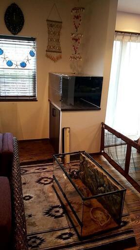 爬虫類 水槽 UVライト リクガメ飼育セット 爬虫類飼育