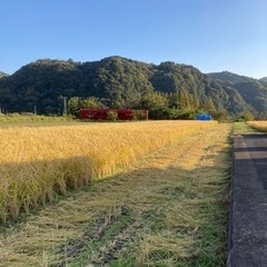 【05】農家直売　令和4年新米❗️ ヒノヒカリ玄米30キロ　減農薬栽培