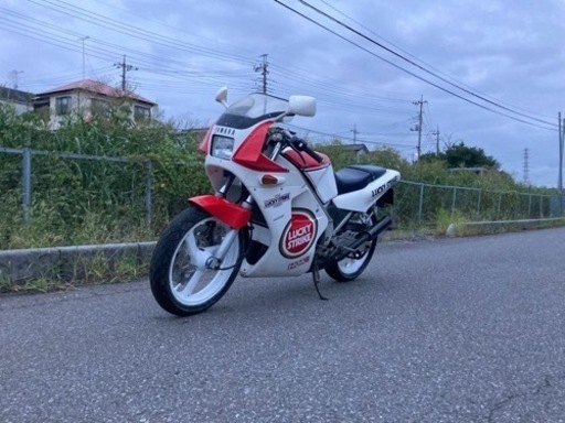 高騰中.2ストフルパワー TZR250 1KT