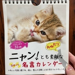 猫ちゃん日めくりカレンダー