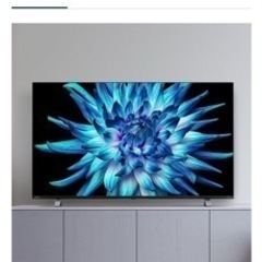 未使用 REGZA 50インチ