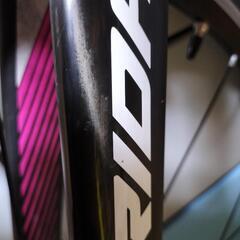 メリダスクルトゥーラチーム