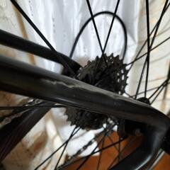 メリダスクルトゥーラチーム