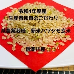 令和4年度産✨減農薬栽培🌾新米ハツシモ玄米❗️ 揖斐川産‼️