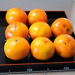 富有柿　甘柿です　富山県産　15円/個