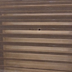 12月20日引渡し迄】高級玄関網戸 鍵付きルーバーサッシ 標準マンション