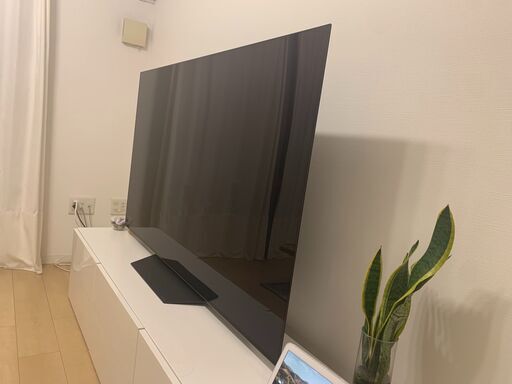 その他 LG65 OLED