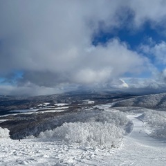 平日スノーボード一緒に滑りませんか？の画像