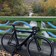 〜12月中旬に限り5000円引！LEADER BIKE 725TR コンプリート