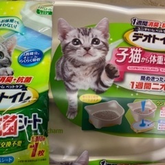 デオトイレ 猫用トイレ　子猫~5Kgの成猫用 ナチュラルアイボリ...