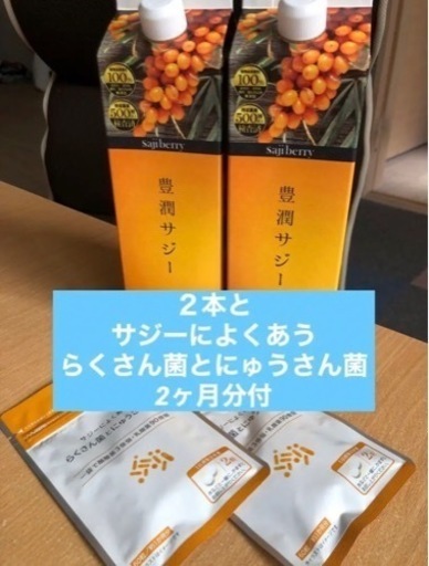 サジー２本とサプリ2ヶ月分