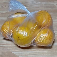 奈良産の柚子