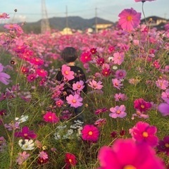 ママ友さん募集🌟