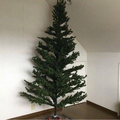 大きなクリスマスツリー　240cm 電飾付き　室内用