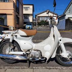 【決まりました】リトルカブ50 50cc バイク