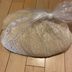 あきたこまち　新米　約5.5kg  引き取りのみ