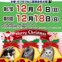 12/4(日)　猫の譲渡会　in　名古屋市千種生涯学習センター