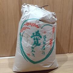 【格安！】コシヒカリ30kg  久万高原清流米