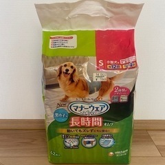 犬用オムツ（男の子用）