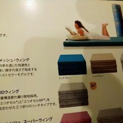 ダブル マットレス マニフレックス