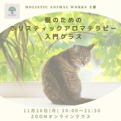 🐈‍⬛猫ちゃんの為のアロマケア