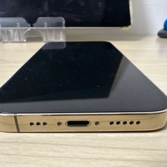 iPhone13Pro 256G