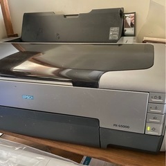 EPSON エプソン　PX-g5000