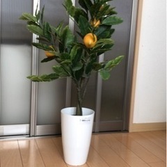 造花（レモンの木）