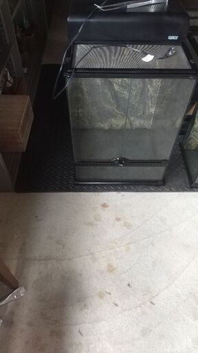 爬虫類用品2