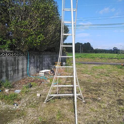 園芸用梯子です。