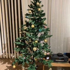 クリスマスツリー　170cmくらい