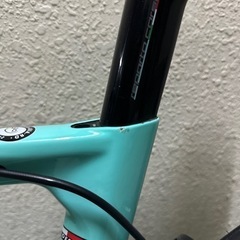 Bianchi aria 2019 ビアンキ アリア
