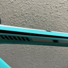 Bianchi aria 2019 ビアンキ アリア