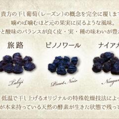 DIONYSOS完全無添加干し葡萄とソムリエセレクトワイン - 札幌市