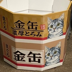 猫の家