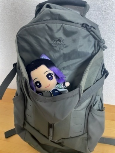 未使用】タスマニアンタイガー タックパック22L バックパック