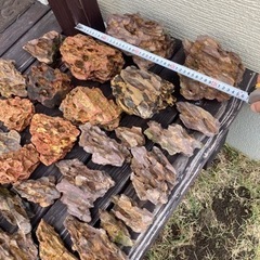 気孔石セット15kg 気孔石セット15kg