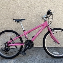 LOUIS GARNEAU ルイガノ 22インチ 子供用　ジュニアバイク J22 自転車