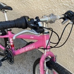 LOUIS GARNEAU ルイガノ 22インチ 子供用　ジュニアバイク J22 自転車