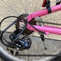 LOUIS GARNEAU ルイガノ 22インチ 子供用　ジュニアバイク J22 自転車