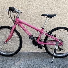 LOUIS GARNEAU ルイガノ 22インチ 子供用　ジュニアバイク J22 自転車