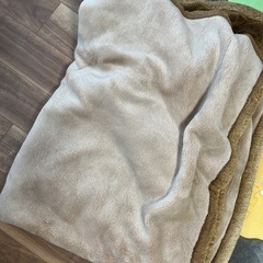 毛布1枚