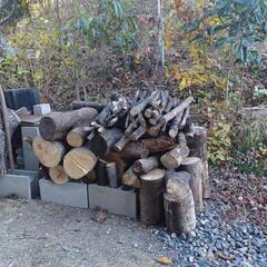 薪です。樹種いろいろ