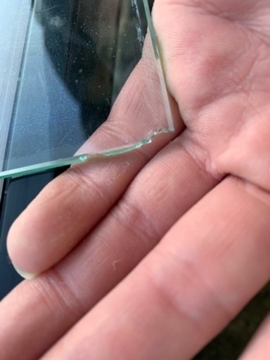 爬虫類用ケージ ワイルドプラネット 引取り限定